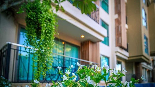 City Garden Tropicana, Wongamat, Pattaya
